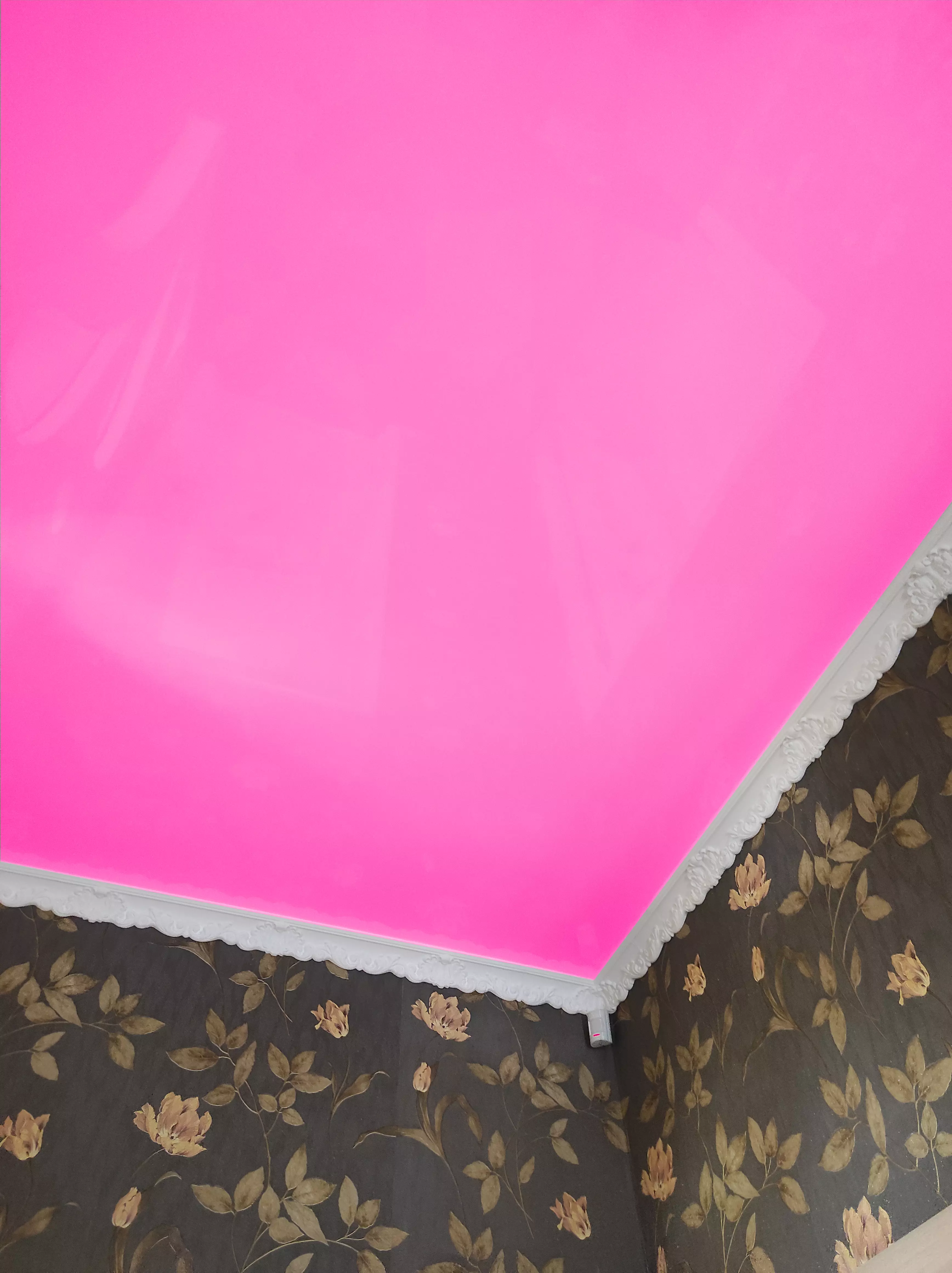 Ульяновск, Ульяновский проспект, 19, фото 2